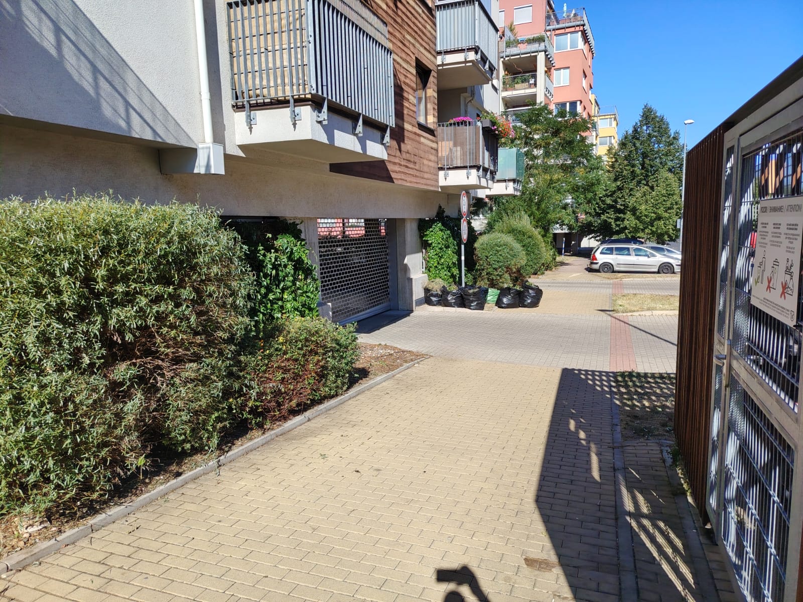 Upravené okolí bytového domu po údržbě zeleně