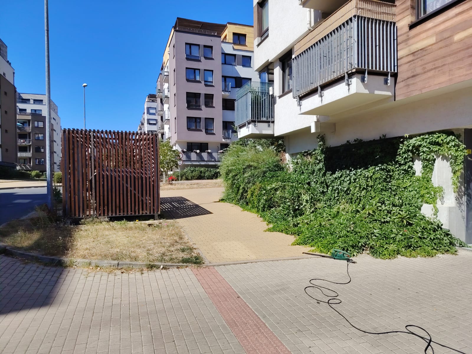 Přerostlá zeleň u bytového domu před údržbou